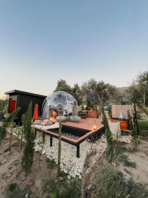The Vino Dome, Onceuponadome Wc